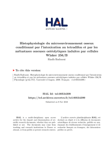 Histophysiologie du microenvironnement osseux conditionné par l