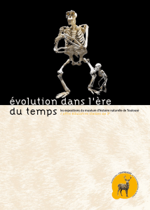 évolution dans l`ère - Espace pédagogique, Museum de Toulouse