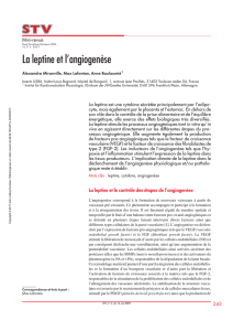 La leptine et l`angiogenèse