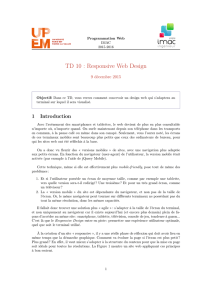 TD 10 : Responsive Web Design