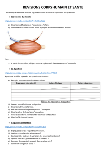 info document - Coll&egrave;ge Aumeunier