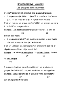 Leçon N°6 GRAMMAIRE