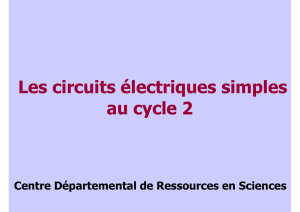 circuits electriques simples