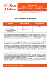 GABA signaling in the brain