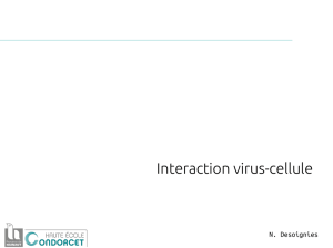 Interaction virus-cellule - Fichier