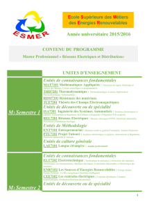 Programme Master Réseau Electrique et Distribution \(REDi\)