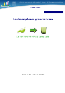 Les homophones grammaticaux