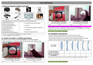 LES LENTILLES