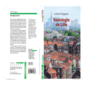 Sociologie de Lille