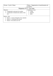 Séquence N°2 : Les ions