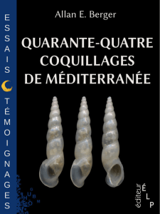 Quarante-quatre coquillages de Méditerranée