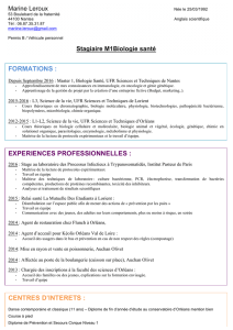 formations : experiences professionnelles