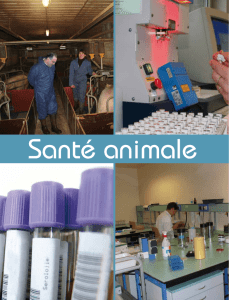 Département Santé Animales