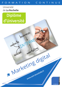 Marketing digital - Université de La Rochelle