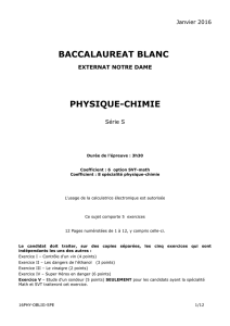2016- Bac Blanc n°1