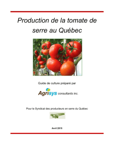production de la tomate de serre au Québec