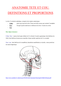 Introduction - définitions et proportions
