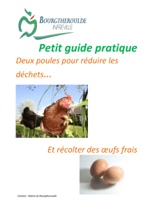 Petit guide pratique - Grand Bourgtheroulde