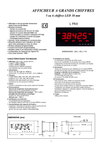 RED LION - Documentation: Afficheur numérique de grande taille