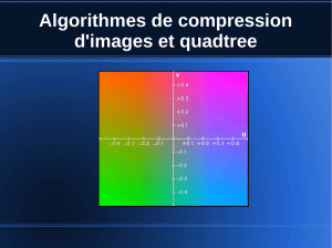 Algorithmes de compression d`images et quadtree