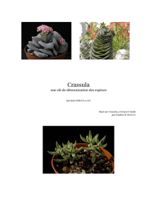 Crassula - International Crassulaceae Network