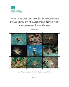 Rapport RNSM OMMM Avril 2013 - Réserve naturelle de Saint