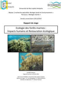Ecologie des forêts marines : Impacts humains et Restauration