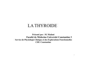 Physiologie de la Thyroide