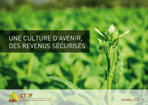 Brochure de la Filière Tabac