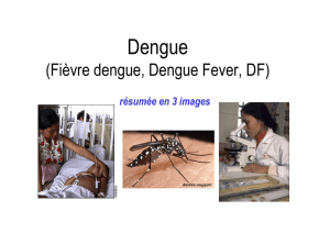 Dengue images