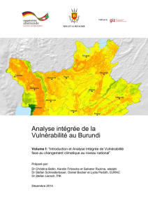 Analyse intégrée de la Vulnérabilité au Burundi