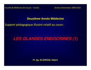 LES GLANDES ENDOCRINES (1)