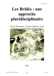 Les Brûlés : une approche pluridisciplinaire
