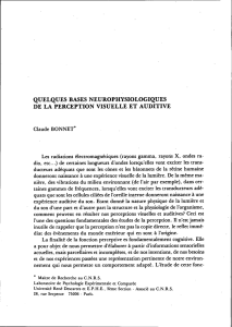 quelques bases neurophysiologiques de la perception visuelle et