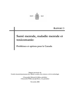 RAPPORT 3 Santé mentale, maladie mentale et toxicomanie