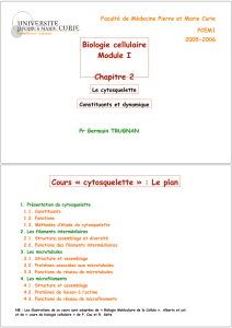 BC P1 chap 2 cytosque#B316D.ppt [Lecture seule]