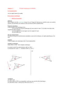 chapitre n° 3 Triangles isométriques et semblables I les