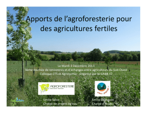 Apports de l`agroforesterie pour des agricultures fertiles
