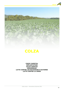 colza - Chambre d`agriculture Ile-de