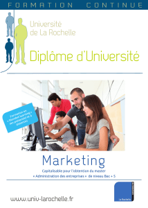Diplôme d`Université - IAE La Rochelle