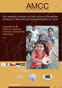 Des stratégies intégrées de lutte contre le changement climatique à l