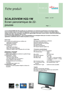 SCALEOVIEW H22-1W Ecran panoramique de 22- pouces