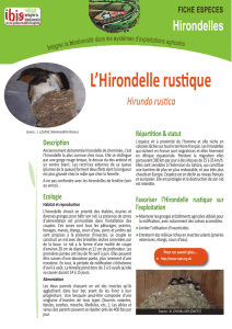 Hirondelles:Fiche especes.qxd - Chambres d`agriculture de Picardie