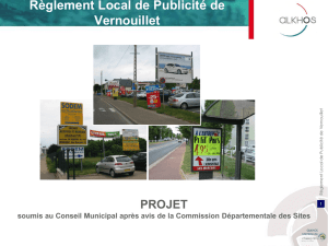 Règlement Local de Publicité de Vernouillet