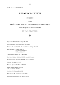 Télécharger le PDF - chauvigny patrimoine