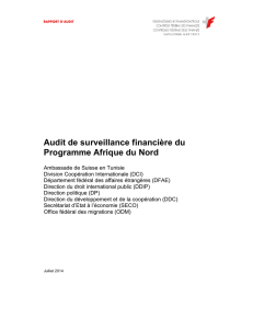 Audit de surveillance financière du Programme Afrique du Nord
