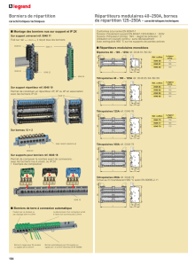 Répartiteurs modulaires 40–250A, bornes de répartition 125–250A