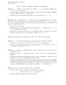 TD 8 - Anneaux, Idéaux, Anneaux de polynômes