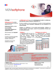 M2Msoftphone