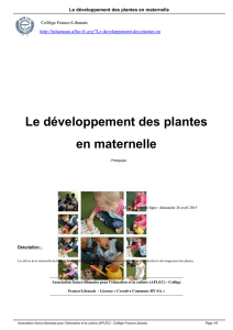 Le développement des plantes en maternelle